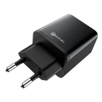 R-6010 Type-C to Type-C