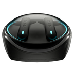 DYNASTY | R-520 Earbuds