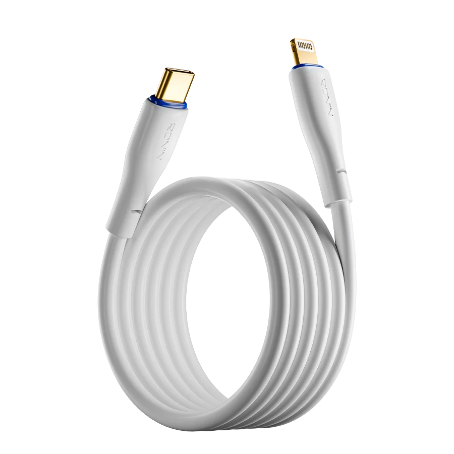 R-2010 - Type C to Iphone