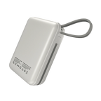 Megawatt | R-4055 30000 mAh Power Bank