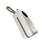 Megawatt | R-4055 30000 mAh Power Bank