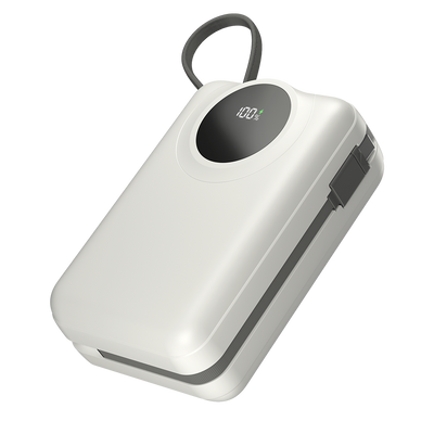 Megawatt | R-4055 30000 mAh Power Bank