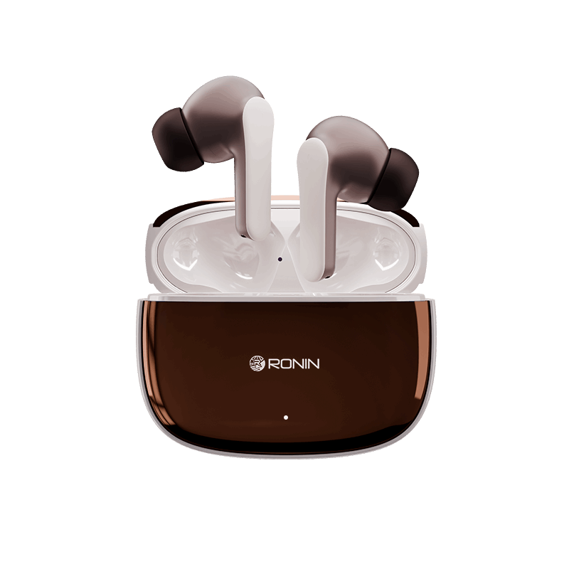 R-640 Earbuds