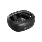 R-540 EarBuds