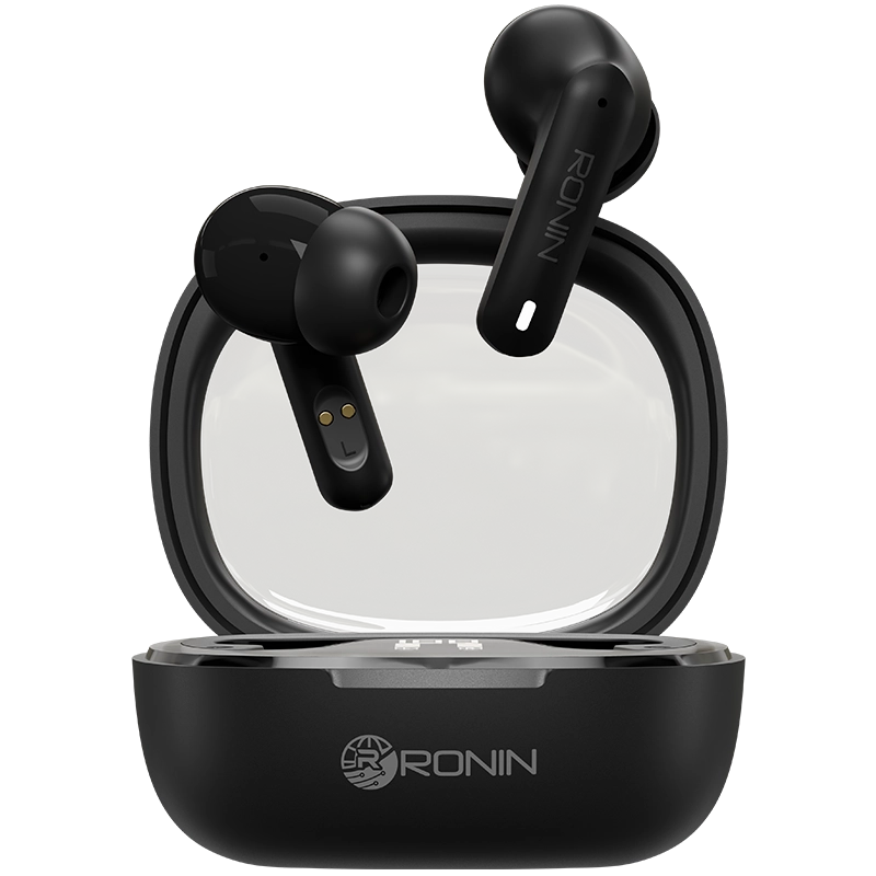 R-540 EarBuds