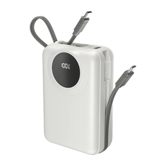 Megawatt | R-4055 30000 mAh Power Bank