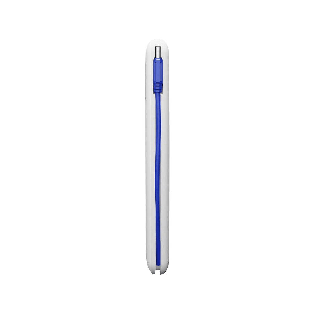Ronin R-73 10000 MAH Power Bank
